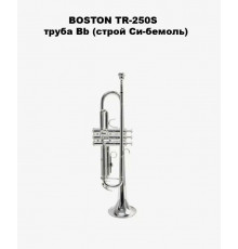 "Труба "Bb" BOSTON  TR-250S"